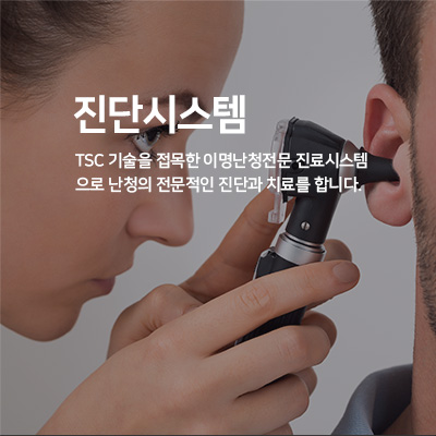 진단시스템